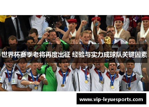 世界杯赛季老将再度出征 经验与实力成球队关键因素 世界杯赛季老将再度出征 经验与实力成球队关键因素