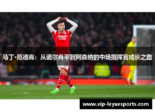 马丁·厄德高:从诺尔肖平到阿森纳的中场指挥官成长之路 马丁·厄德高:从诺尔肖平到阿森纳的中场指挥官成长之路