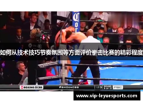 如何从技术技巧节奏氛围等方面评价拳击比赛的精彩程度 如何从技术技巧节奏氛围等方面评价拳击比赛的精彩程度