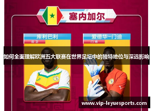 如何全面理解欧洲五大联赛在世界足坛中的独特地位与深远影响 如何全面理解欧洲五大联赛在世界足坛中的独特地位与深远影响