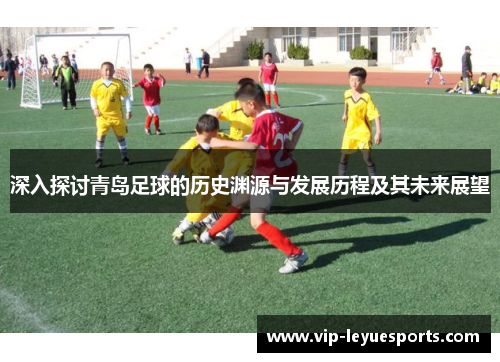 深入探讨青岛足球的历史渊源与发展历程及其未来展望