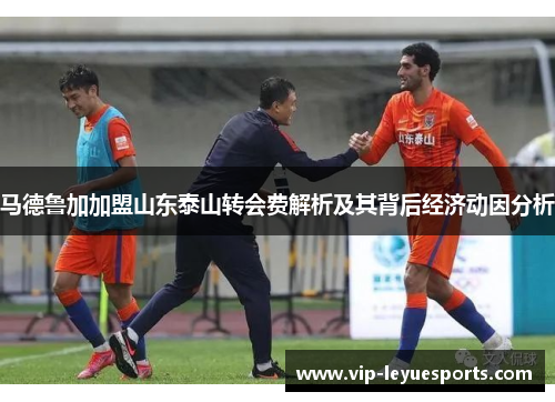 马德鲁加加盟山东泰山转会费解析及其背后经济动因分析 马德鲁加加盟山东泰山转会费解析及其背后经济动因分析