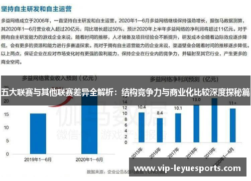五大联赛与其他联赛差异全解析:结构竞争力与商业化比较深度探秘篇 五大联赛与其他联赛差异全解析:结构竞争力与商业化比较深度探秘篇
