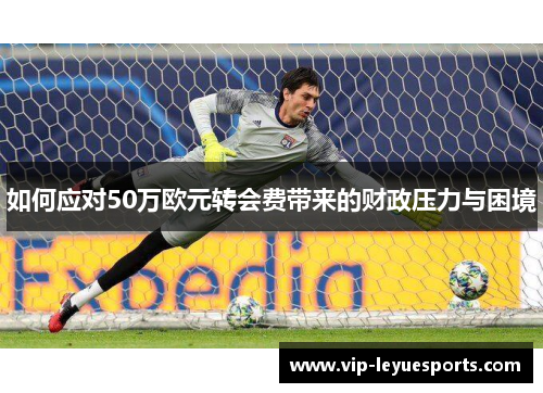 如何应对50万欧元转会费带来的财政压力与困境 如何应对50万欧元转会费带来的财政压力与困境