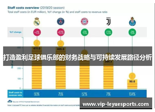 打造盈利足球俱乐部的财务战略与可持续发展路径分析