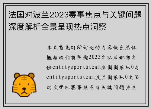 法国对波兰2023赛事焦点与关键问题深度解析全景呈现热点洞察